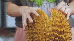 榴蓮剝好肉后，搗成泥狀。