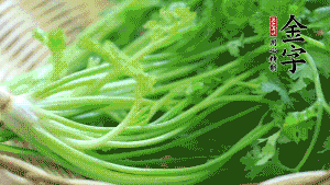 挑選鮮嫩的香菜，洗干凈后，處理成小段。