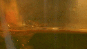 雞肉、鹽、料酒入冷水鍋水開后撇去浮沫，溫水洗凈。