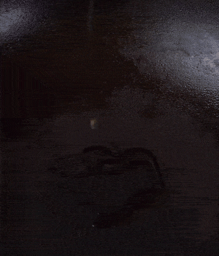 冷鍋熱油，下蒜片爆香，下香腸、玉米筍、蓮藕、西芹爆炒，期間加點水，翻炒1分鐘后加新鮮百合片，翻炒30秒。