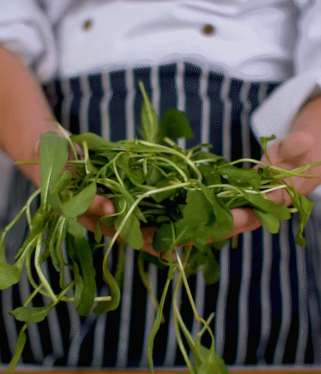 馬蘭頭焯水，切成細(xì)末。