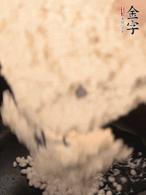 浸泡半天的糯米電飯鍋煮熟。