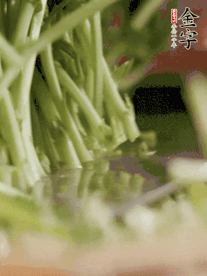 新鮮豌豆苗割下洗凈。